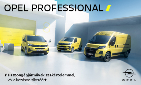 Opel Professional